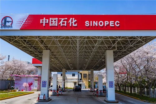 中國石化37周年慶 在能源領(lǐng)域譜寫華章，租賃市場見證發(fā)展足跡