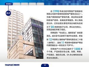 房地產(chǎn)咨詢(xún)服務(wù) 賦能決策，驅(qū)動(dòng)價(jià)值