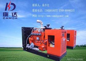 燃氣發電機組 高效清潔的能源解決方案